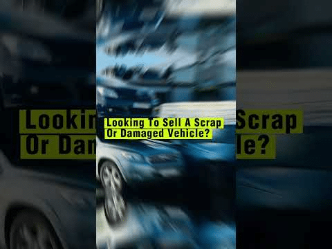 From Our Companions From Our Companions